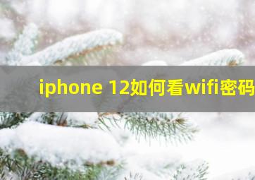 iphone 12如何看wifi密码